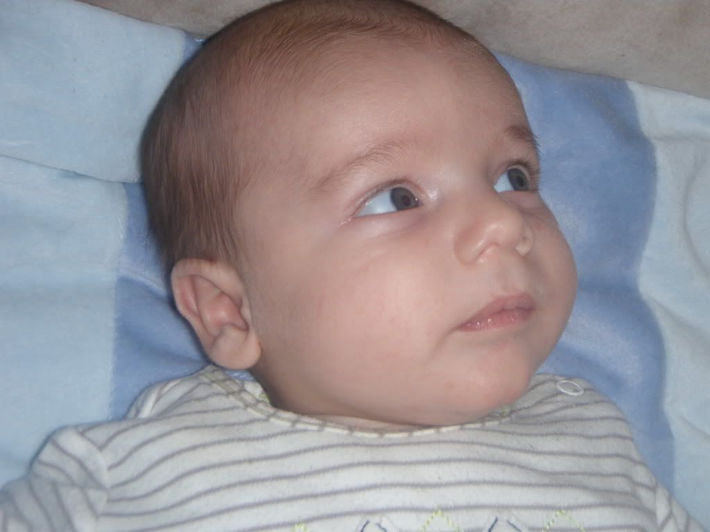 P1010015.jpg