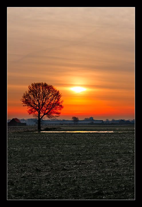 Fotografie