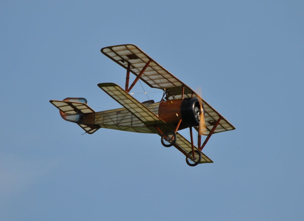 DSC_3009_zps7xnjfous.jpg