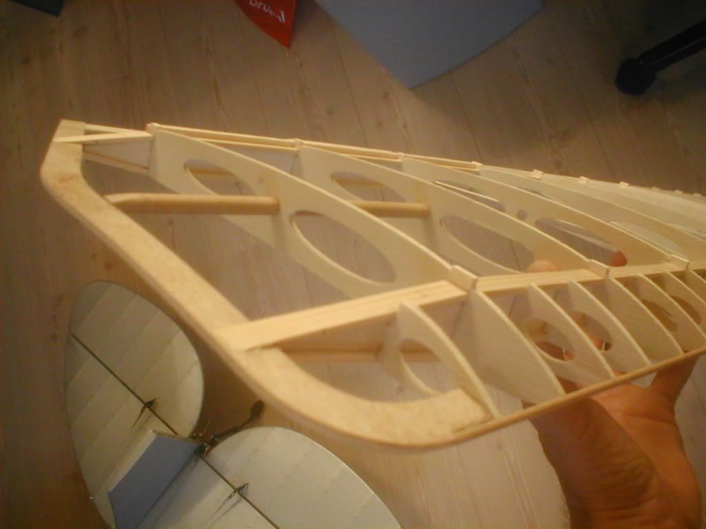 P1010026.jpg
