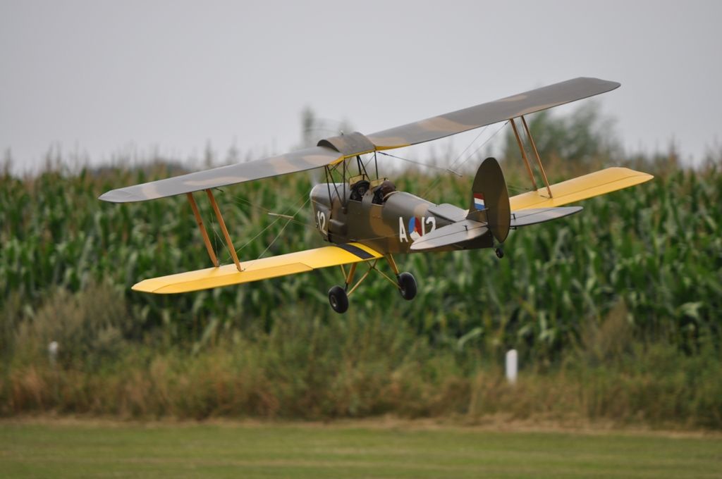 DSC_0312_zpse726a7ce.jpg