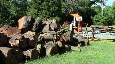 Profit with a portable sawmill business   homesteading and 