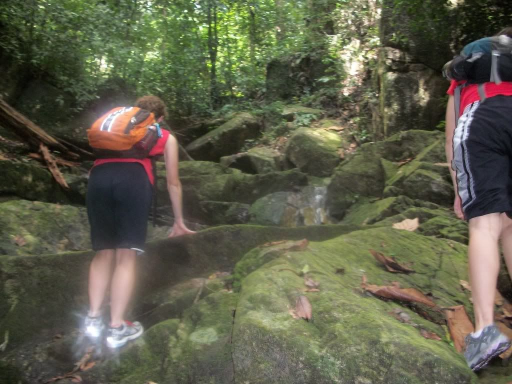 49.jpg picture by teamgozo