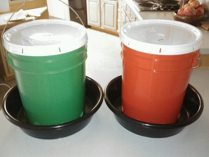 bucket chicken feeders