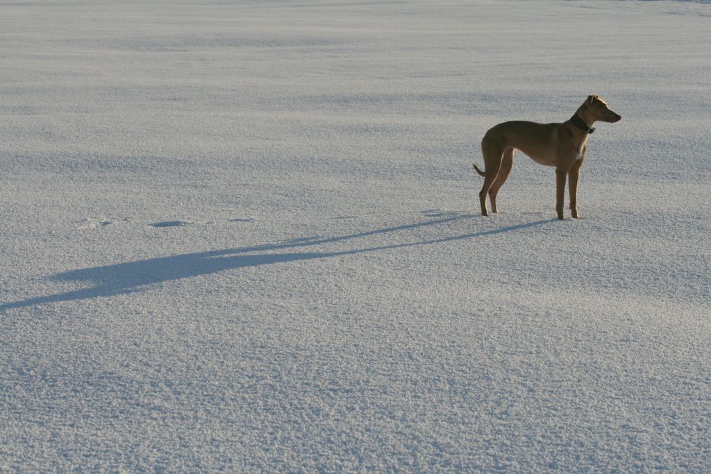 beachinsnow129_zps24006e51.jpg