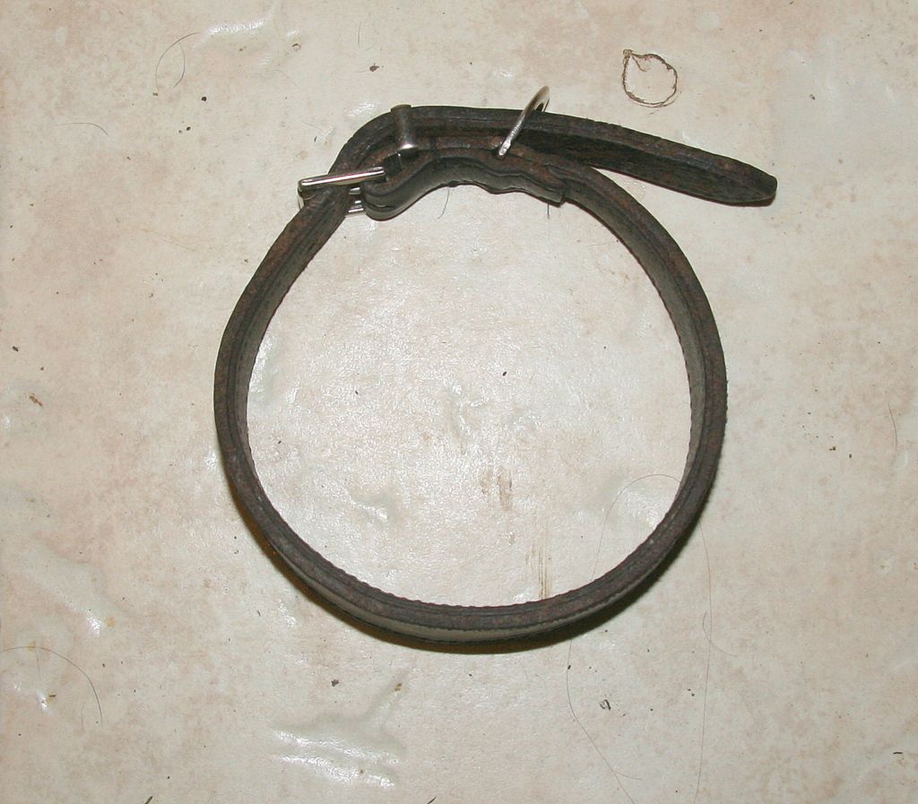 collar004_zpsec30521e.jpg