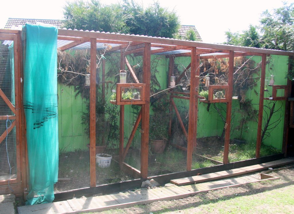 goodweatheraviary003_zpseebadf49.jpg