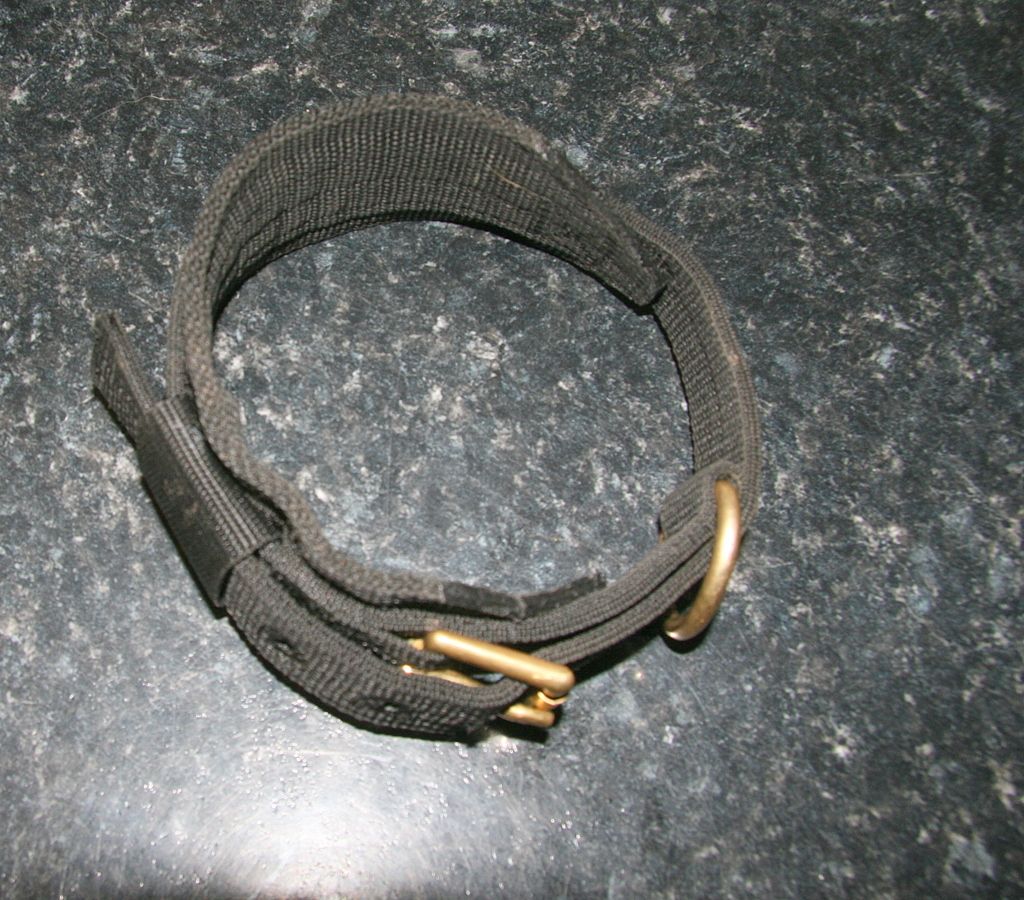 newcollar001.jpg