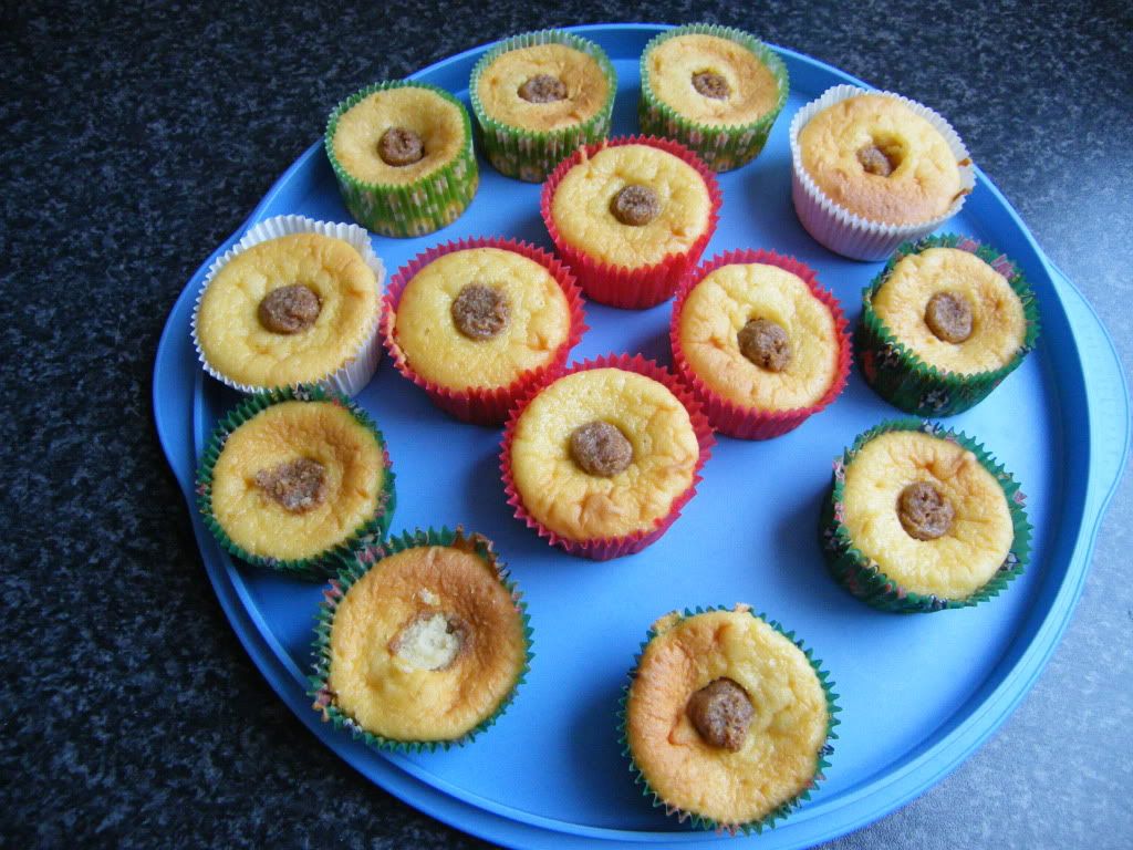 http://i1238.photobucket.com/albums/ff492/mdpieterson/DSCF8328.jpg