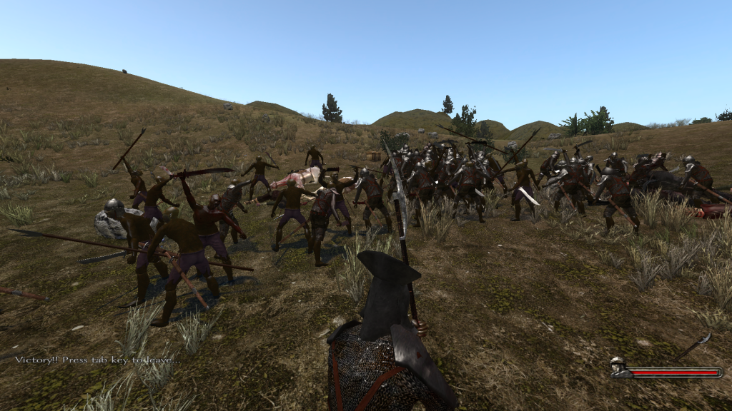 mb_warband2012-11-2313-05-42-36.png