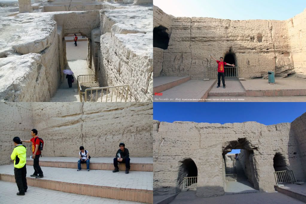 Posted Image