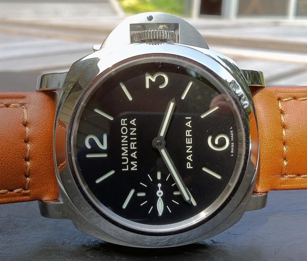 PAM111_2c.jpg~original