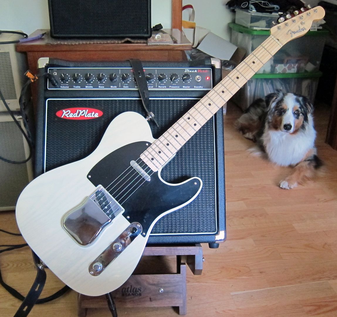 nocaster2.jpg?t=1338222939