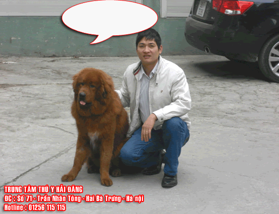 A2-10.gif
