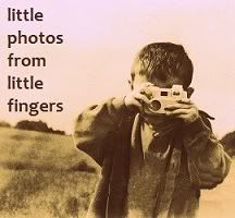 Little Photos From Little Fingers'