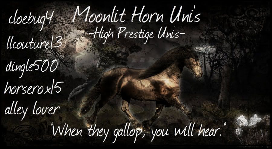 Moonlit horn uni's banner!