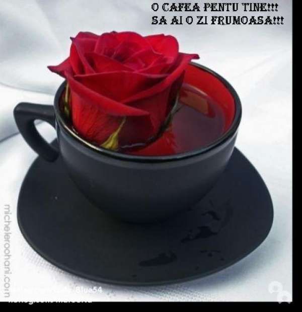 http://i1238.photobucket.com/albums/ff497/Ioana_Adi/buna-dimineata-o-cafea-pentru-tine_5a4d0ceed3251d.jpg