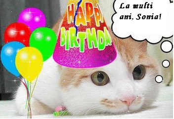 http://i1238.photobucket.com/albums/ff497/Ioana_Adi/happy-birthday-cat-glittersonia.png