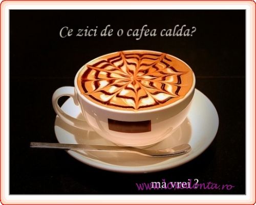 http://i1238.photobucket.com/albums/ff497/Ioana_Adi/la_o_cafea_-_734.jpg