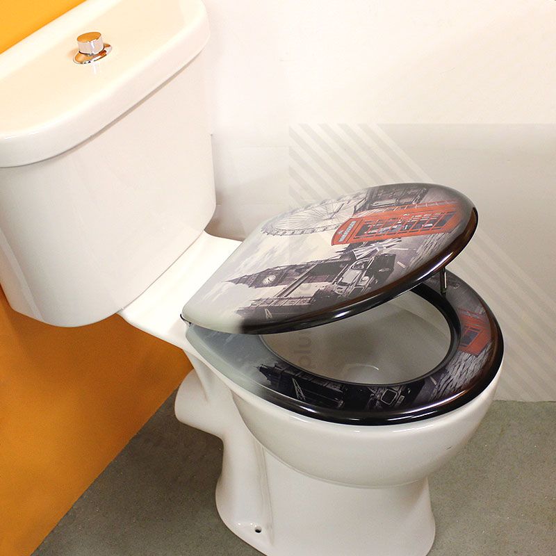 MDF Pattern Print Novelty Themed Toilet Seat Chrome Metal Bottom Fixing