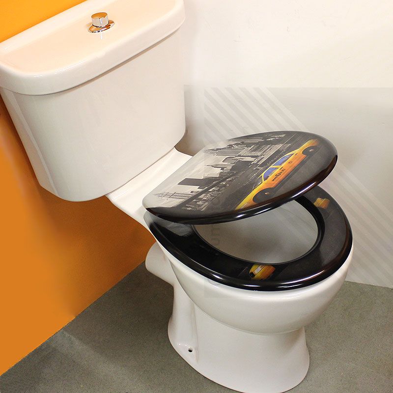 MDF Pattern Print Novelty Themed Toilet Seat Chrome Metal Bottom Fixing