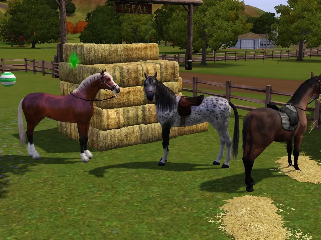 Vitual Horse Breeding Games full version free software download