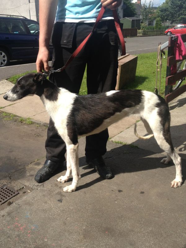 29a03d83d378aff496b149f8ce0f538d_zpsd981