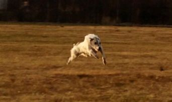 IMG_1199_zps88db68c4.jpg