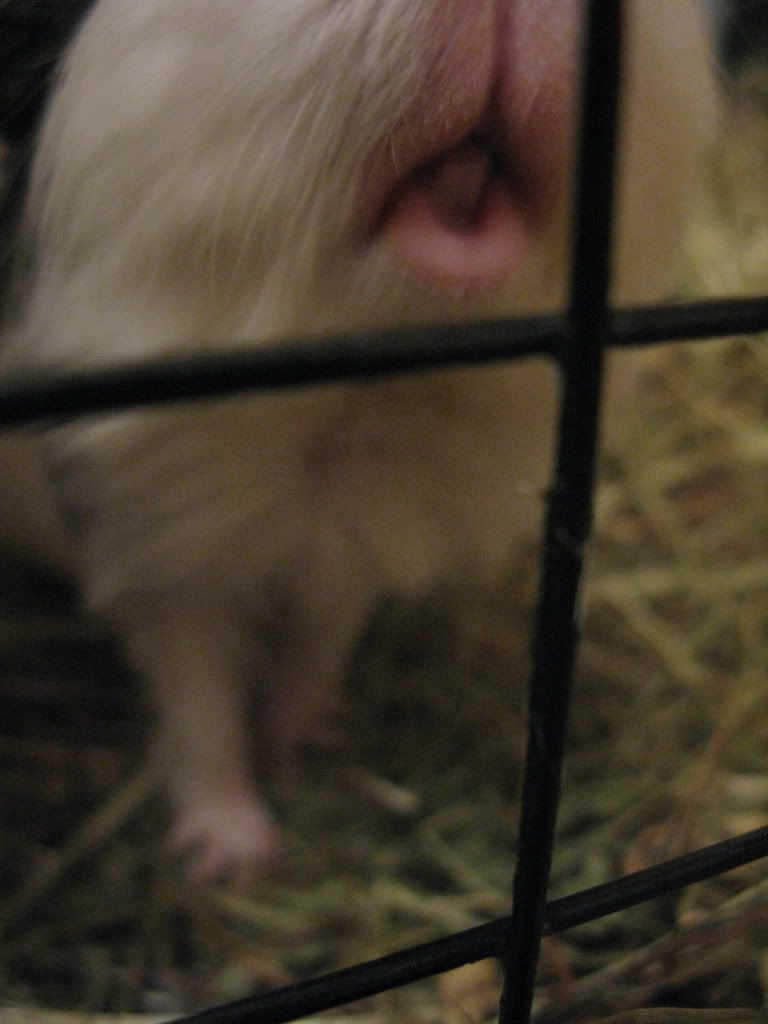 IMG_2922.jpg