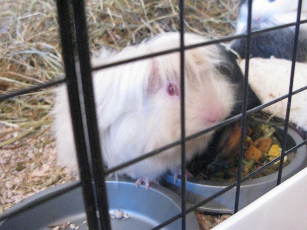IMG_3018.jpg